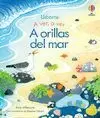 A ORILLAS DEL MAR