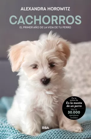 CACHORROS. EL PRIMER AÑO DE LA VIDA DE TU PERRO