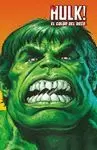 THE HULK, 1. EL COLOR DEL ODIO