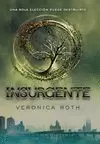 INSURGENTE