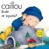 CAILLOU, ONDE SE AGOCHA?