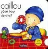 CAILLOU QUE HAY DENTRO?