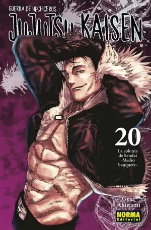 JUJUTSU KAISEN. GUERRA DE HECHICEROS, 20