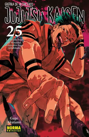 JUJUTSU KAISEN. GUERRA DE HECHICEROS, 25