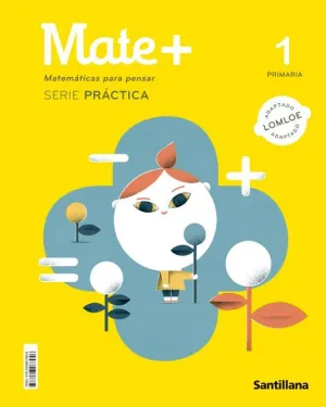 MATE + 1. MATEMATICAS PARA PENSAR, PRÁCTICA