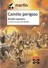 CAMIÑO PERIGOSO