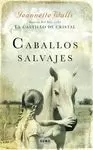 CABALLOS SALVAJES