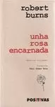 UNHA ROSA ENCARNADA