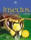 INSECTOS